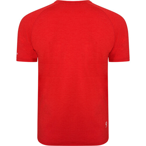 Dare2b camiseta montaña manga corta hombre PERSIST ROJO