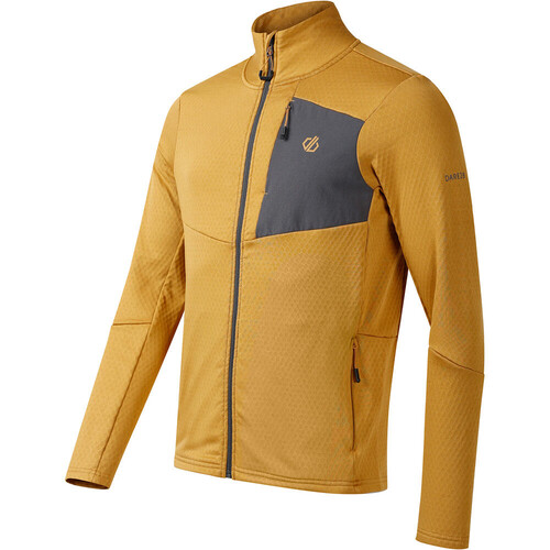 DARE2B VENTURE marron
