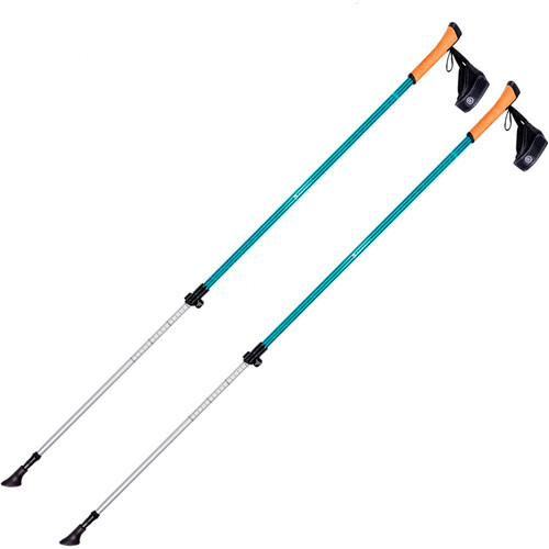 FERRINO STICK NORDICK STEP-IN 22 azul