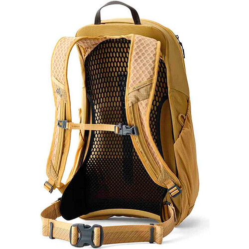 GREGORY ARRIO 20 amarillo