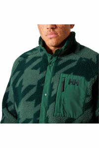 Helly Hansen forro polar hombre PANORAMA PRINTED PILE SNAP VERDE vista detalle