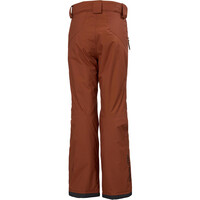 Helly Hansen pantalones esquí infantil LEGENDARY GRIS 05