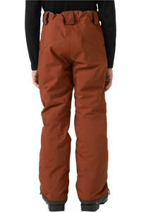 Helly Hansen pantalones esquí infantil LEGENDARY GRIS vista trasera
