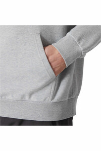 Helly Hansen sudadera hombre LOGO 2.0 GRIS vista detalle