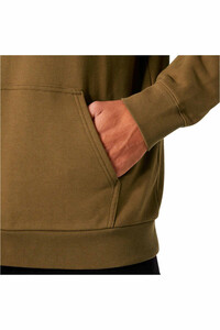 Helly Hansen sudadera hombre MASSIF GRAPHIC MARRON 03
