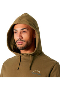 Helly Hansen sudadera hombre MASSIF GRAPHIC MARRON vista detalle