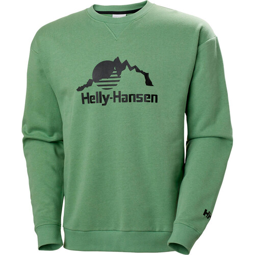 HELLY HANSEN CREW SWEATER 2.0 verde