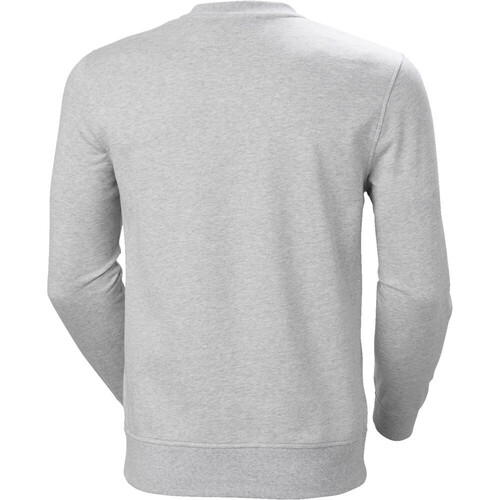 HELLY HANSEN NORD GRAPHIC gris