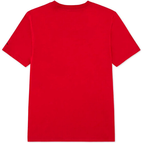 JORDAN JORDAN JUMPMAN rojo