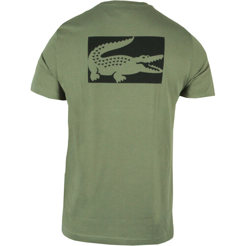 LACOSTE ENTRY verde