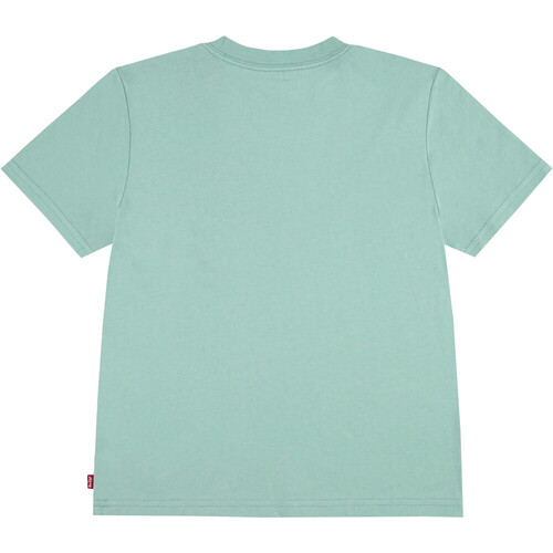 LEVI'S BATWING verde
