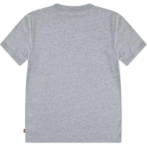 LEVI'S ON THE ROAD BATWING gris