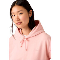 Levi'S sudadera mujer EVERYDAY ROSA vista detalle