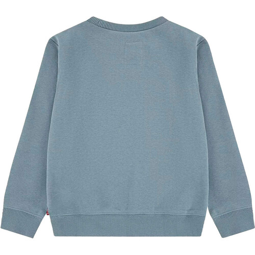LEVI'S BATWING verde