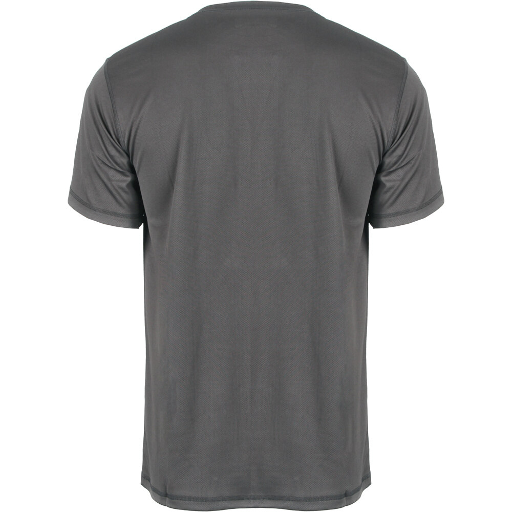 Neak Peak camiseta montaña manga corta hombre FRANCISCO II GRIS vista trasera