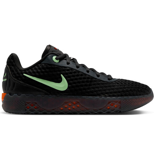 NIKE LEBRON WITNESS X PER HW gris