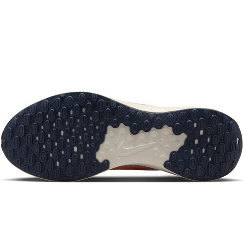 NIKE REVOLUTION 7 gris