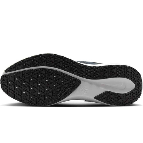 NIKE PEGASUS 41 GORE-TEX negro