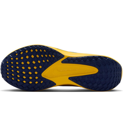 NIKE QUEST 6 azul