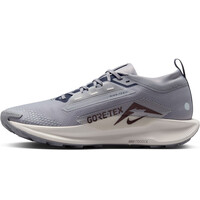 Nike zapatillas trail hombre PEGASUS TRAIL 5 GORE-TEX GRIS puntera