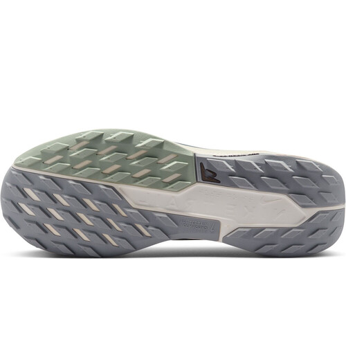 NIKE PEGASUS TRAIL 5 GORE-TEX gris