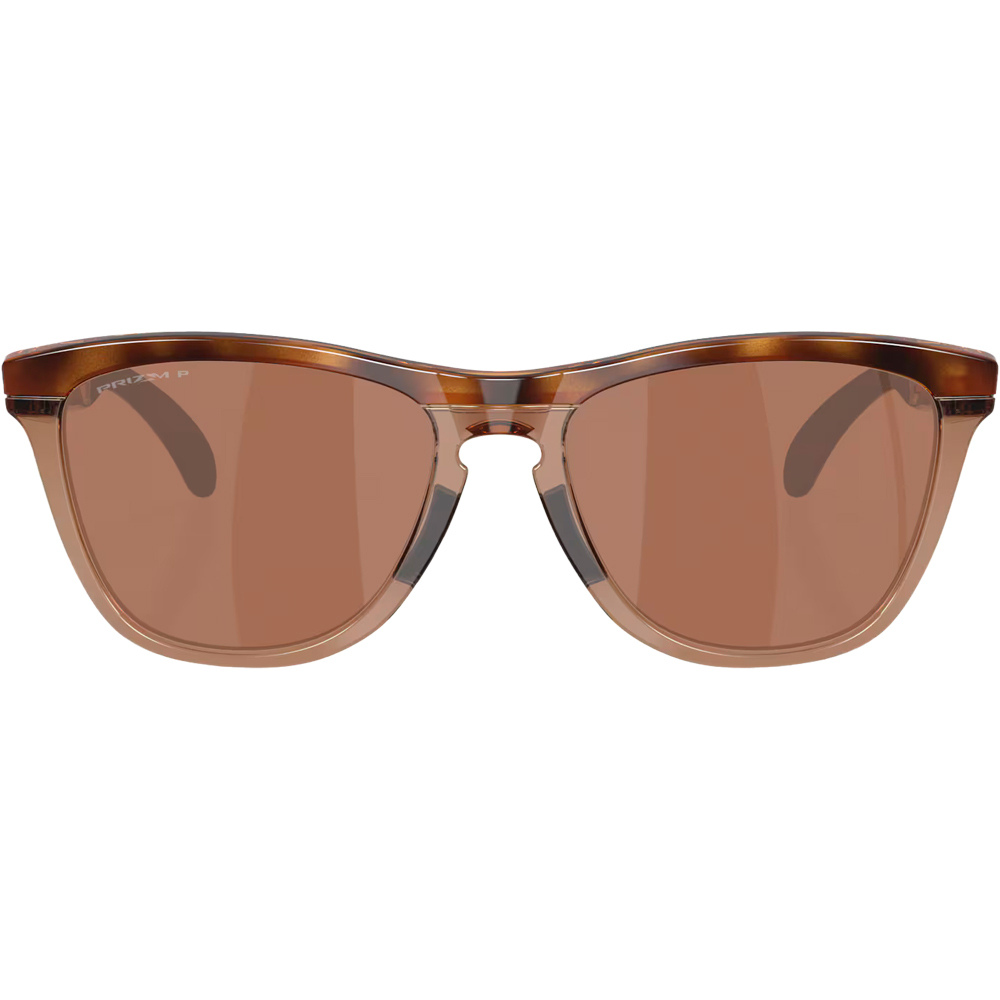 Oakley gafas deportivas FROGSKINS RANGE XL BROWN TORT/BR  01