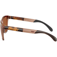Oakley gafas deportivas FROGSKINS RANGE XL BROWN TORT/BR  02