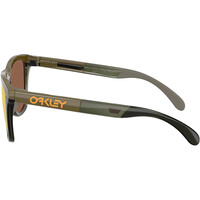 Oakley gafas deportivas FROGSKINS RANGE XL DARK BRUSH/OL  02