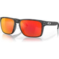 HOLBROOK XL