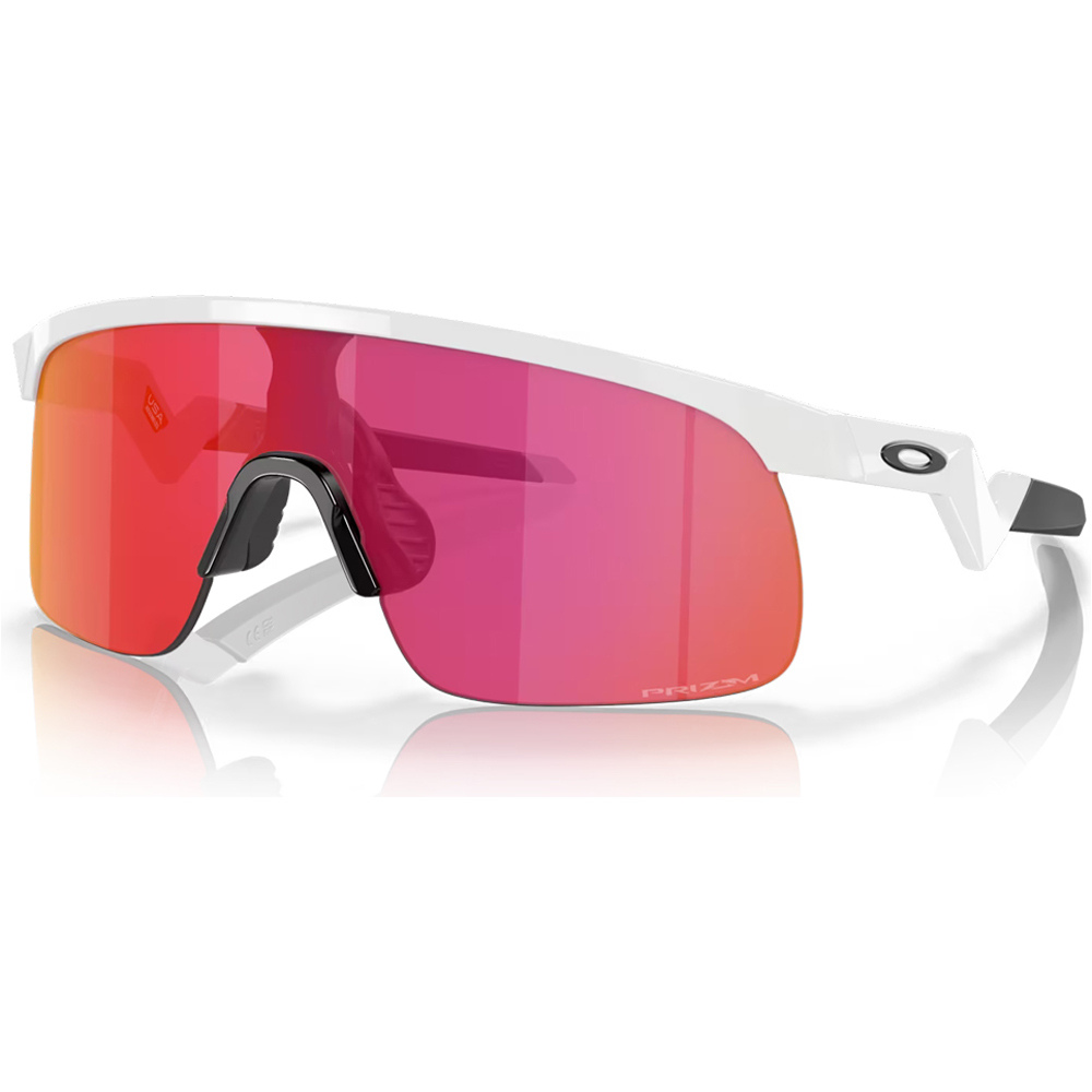 Oakley gafas deportivas infantiles RESISTOR  vista frontal