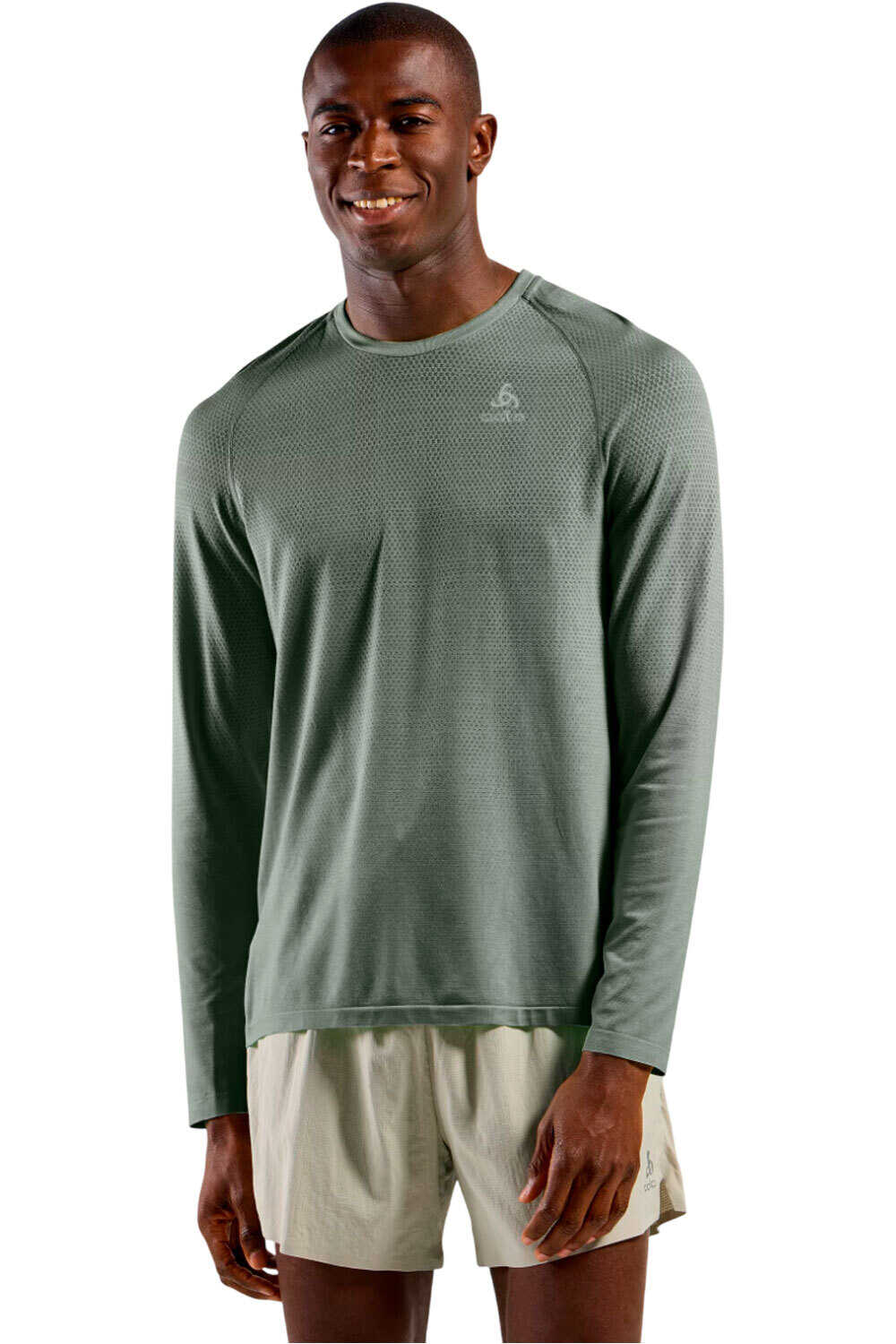 Odlo camiseta montaña manga larga hombre ESSENTIAL SEAMLESS GRIS vista frontal
