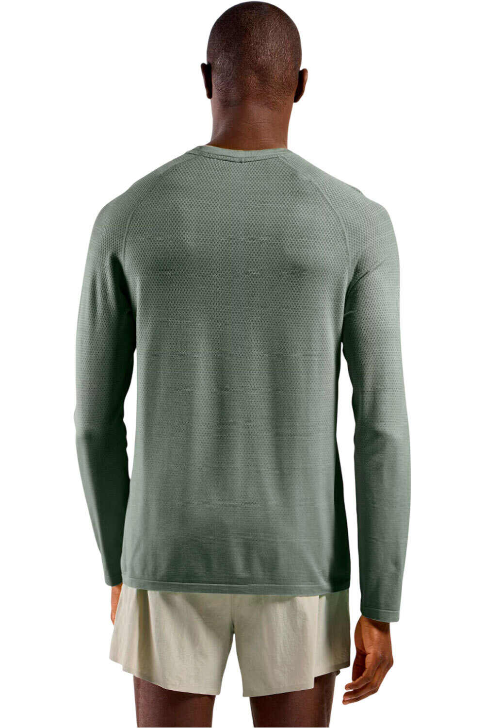 Odlo camiseta montaña manga larga hombre ESSENTIAL SEAMLESS GRIS vista trasera