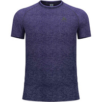 Odlo camiseta térmica manga corta hombre ESSENTIAL SEAMLESS AZUL vista frontal