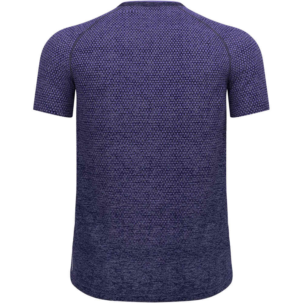 Odlo camiseta térmica manga corta hombre ESSENTIAL SEAMLESS AZUL vista trasera