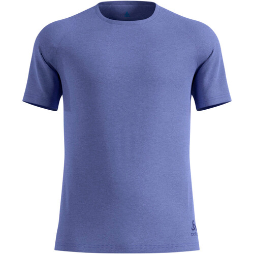 Odlo camiseta térmica manga larga hombre ESSENTIAL 365 AZUL