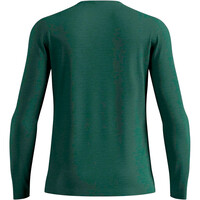 Odlo camiseta térmica manga larga hombre MERINO 160 VERDE vista trasera