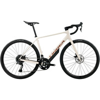 AVANT H50 2026