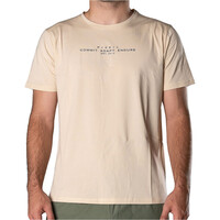 Picsil camiseta fitness hombre ESSENTIALS MARRON