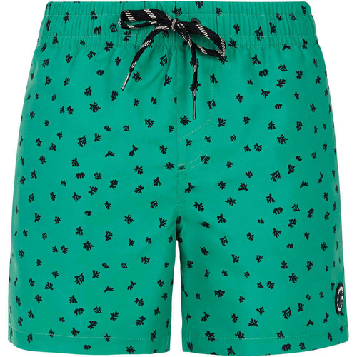 PROTEST PRTJUAN BEACHSHORT verde