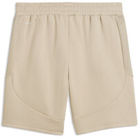 Puma bermudas hombre EVOSTRIPE MARRON 03