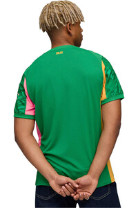 Puma camiseta de fútbol oficiales MILAN 25/26 PORTERO VERDE vista trasera