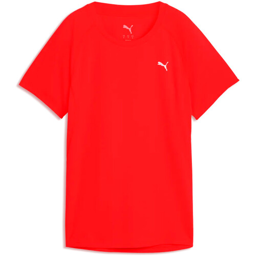 PUMA RUN VELOCITY rojo