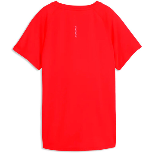 PUMA RUN VELOCITY rojo