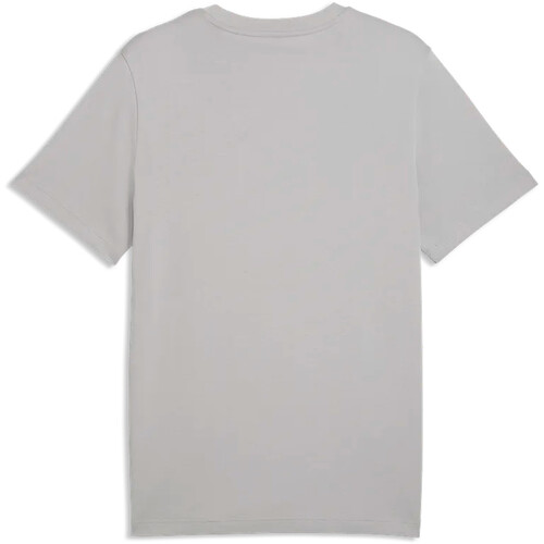 PUMA ESSENTIALS 2 COLOR NO. 1 LO gris