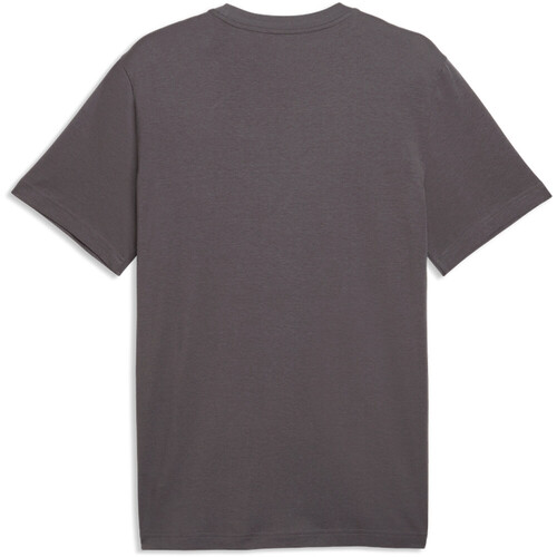 PUMA ESSENTIALS 2 COLOR NO. 1 LO
