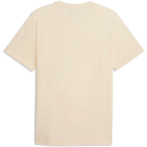 Puma camiseta manga corta hombre GRAPHIC MOUNTAIN MARRON