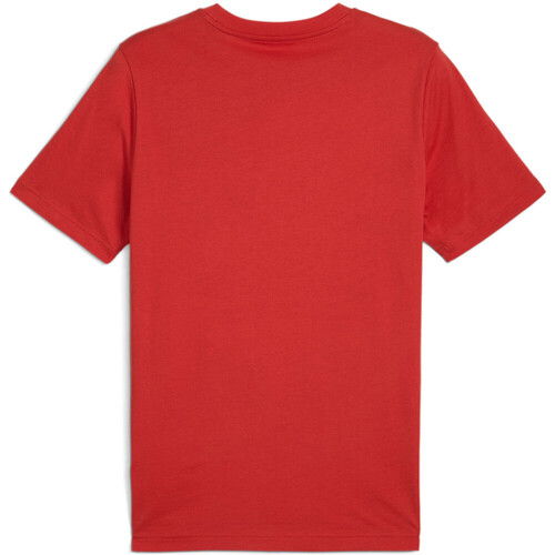 Puma camiseta manga corta hombre GRAPHICS ROJO