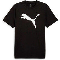 ESSENTIALS CAT LOGO