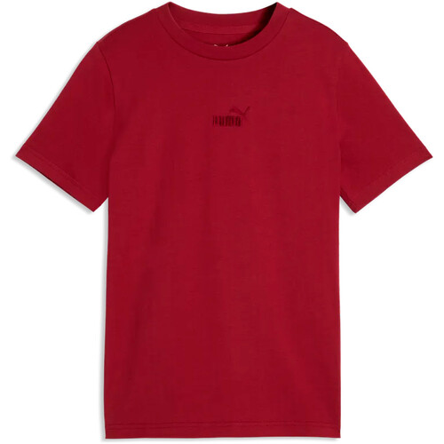 Puma camiseta manga corta niño ESSENTIALS SMALL NO.1 LOGO GRIS