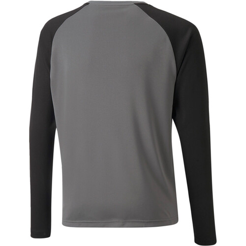 PUMA TEAMPACER gris